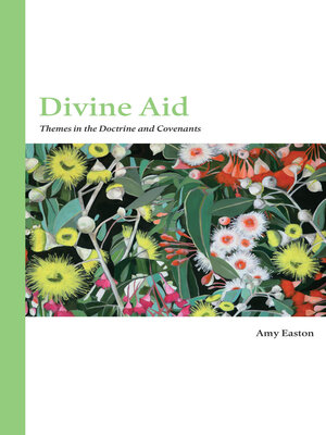 cover image of Divine Aid